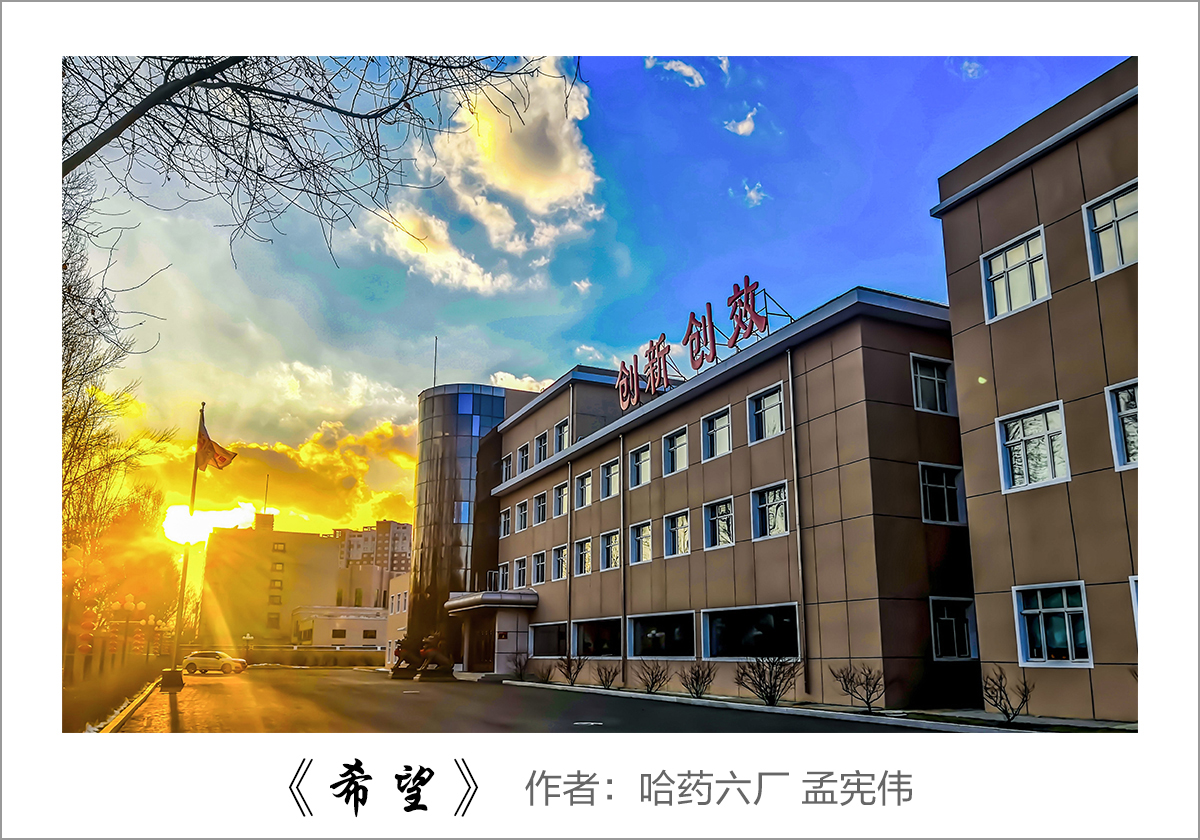 【迎國慶 展風(fēng)采】我眼中的哈藥&mdash;&mdash;職工攝影大賽作品展示！